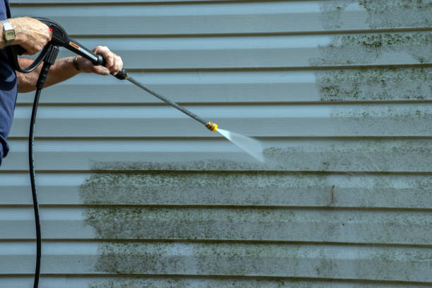 Best Sidewalk and Walkway Cleaning  in Teviston, CA